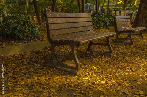 The bench and fallen leaves.The shooting location is Arisugawa Park in Minami Azabu, Minato-ku, Tokyo, Japan.