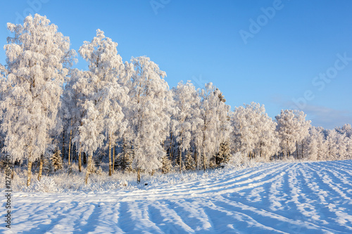 Plowed field covered with snow at the woods