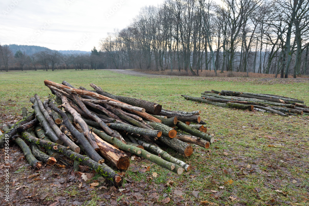 Rural autumn landscape with firewood log