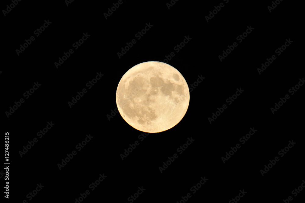 Mond Mond