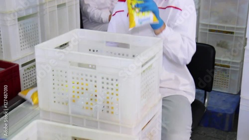 Milk factory. Dairy production. 