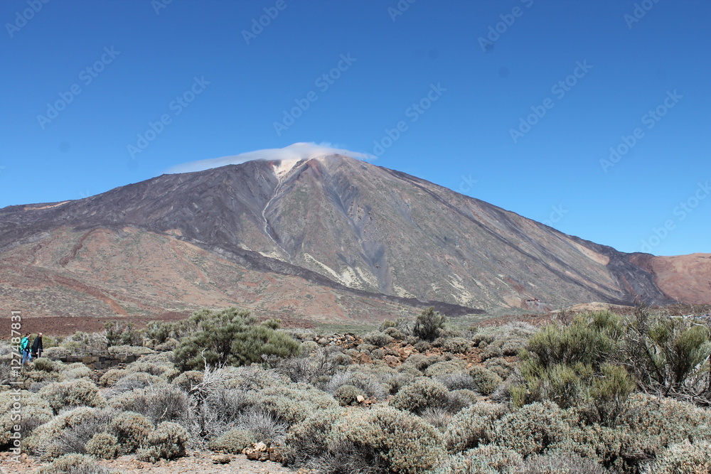 Beautiful unique landscape of Canary Island Tenerife