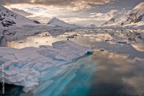 Antarctic Ice bergs 