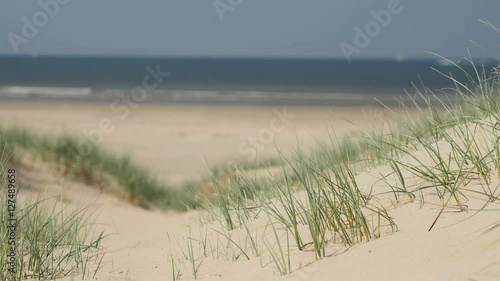 Wallpaper Mural Unspoiled, clean and empty beach and dunes with helm grass with sea in the background. Torontodigital.ca