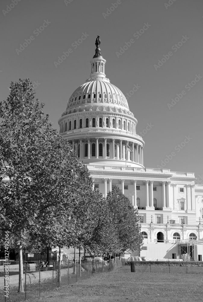 The Capitol Building in Washington DC, capital of the United States of America