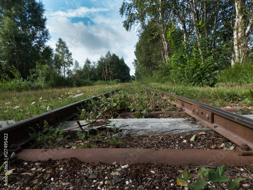 Gleise einer Torfbahn im Hochmoor
