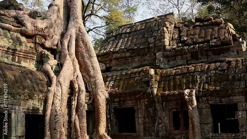 Cambodia Angkor Wat Ta Prohm temple Tomb Raider tree roots ruins