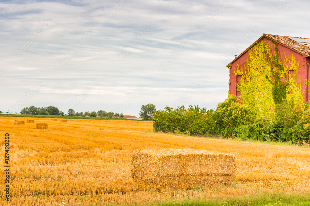 hay bales hay bales