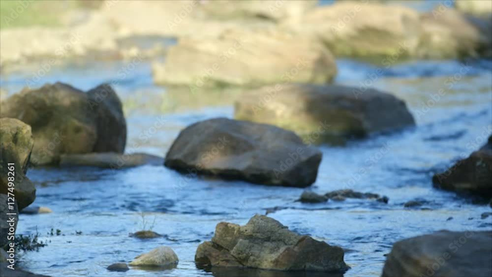 Focus is on a rock in the foreground of a small stream. Focus is on a rock in the foreground of a small stream.