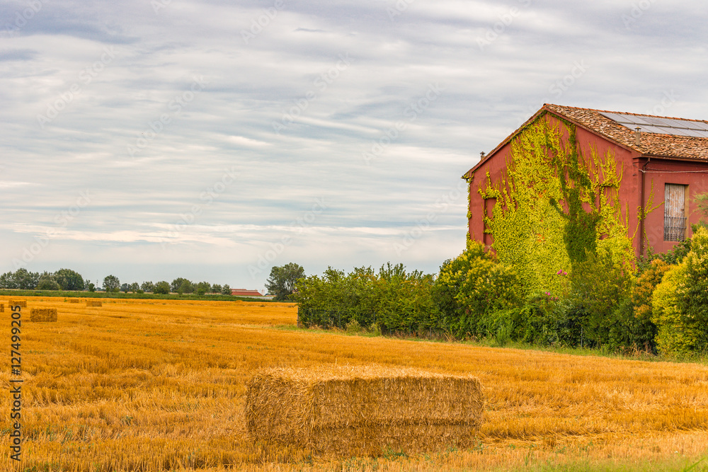 hay bales hay bales