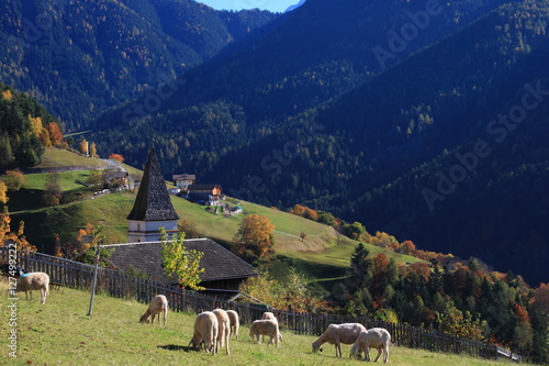 val di Tires, Catinaccio Vajolet e sentiero dei Masi, Sciliar photo