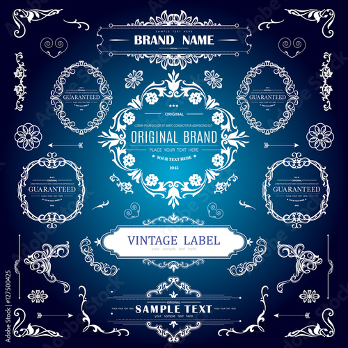 Set of Vintage Decorations Elements.Flourishes Calligraphic Ornaments and Frames