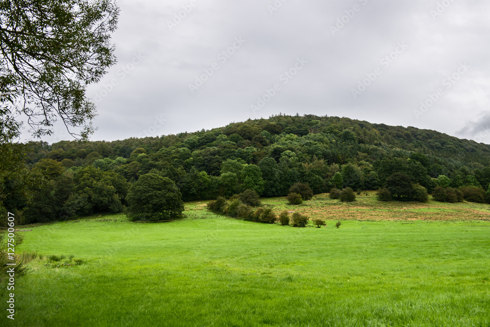 Picturesque View near Bakewell in Peak District National Park