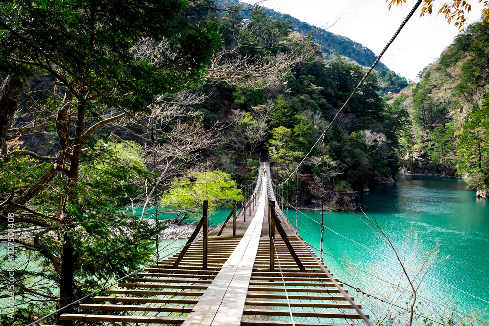 Suspension bridge in Japan with river Stock Photo Adobe Stock