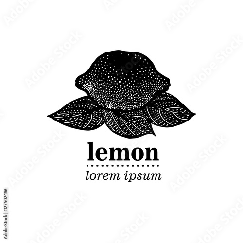 Vector illustration of Lemon Leaves