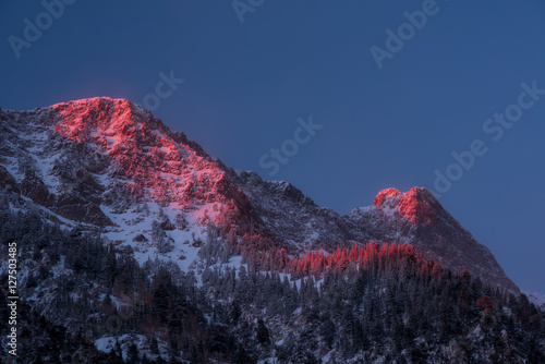 Quadro su tela Glowing Little Cottonwood Canyon