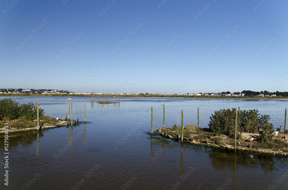 Vogelreservat / Bird Sanctuary