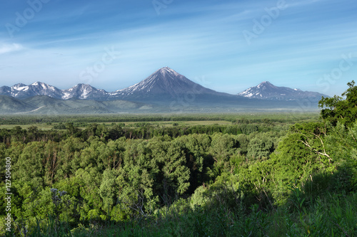 Kamchatka Peninsula summer landscape: beautiful view of Avachinsky-Koryaksky Group of Volcanoes, green forest and blue sky on sunny day. Kamchatka Region, Russian Far East, Eurasia.