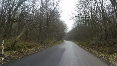 Wallpaper Mural driving on theevening road in the woods Torontodigital.ca