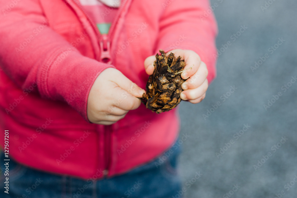 Caucasian toddler girl holding and playing with a single pinecone outdoors Caucasian toddler girl holding and playing with a single pinecone outdoors