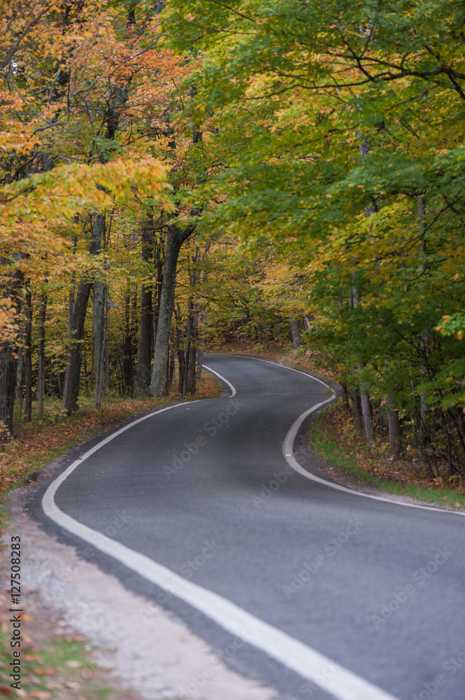 Fototapeta premium Twisting Road
