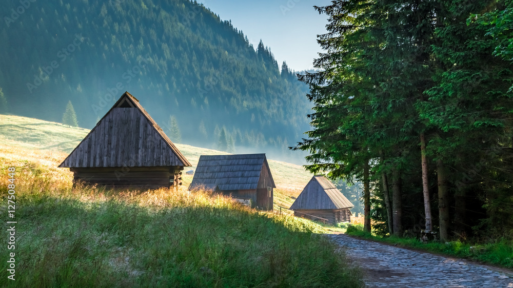 Wonderful sunrise in Valley Chocholowska, Tatra Mountains in Poland
