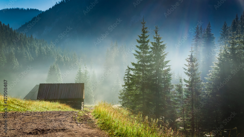 Fototapeta premium Oszałamiający wschód słońca w Dolinie Chochołowskiej, Tatry w Polsce