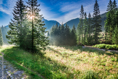 Wonderful sunrise in Valley Chocholowska, Tatra Mountains in summer