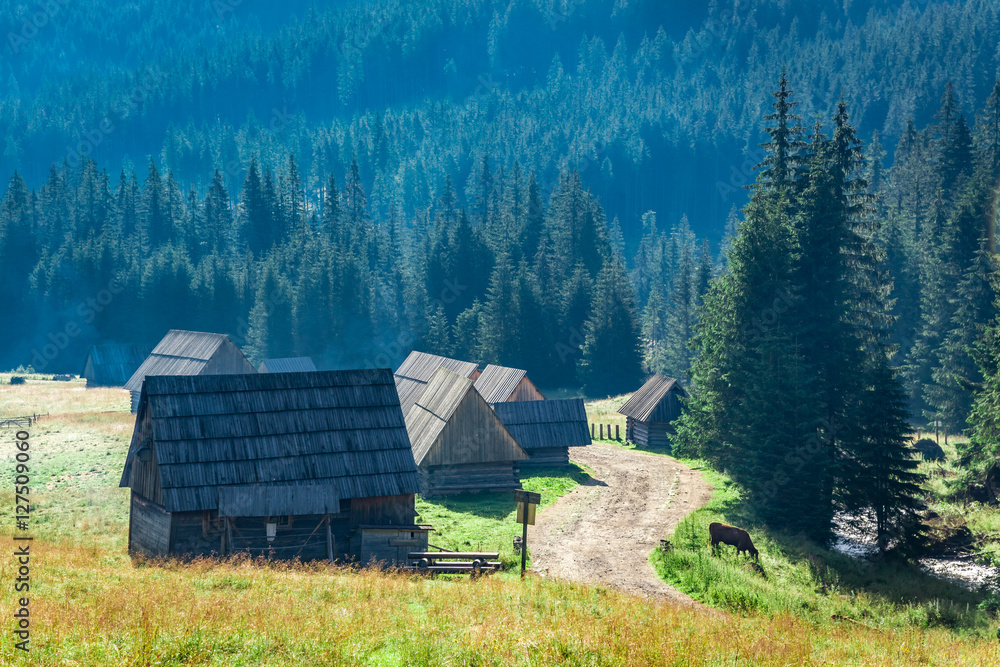 Obraz premium Mountain trail between cottages in Tatra Mountains, Poland