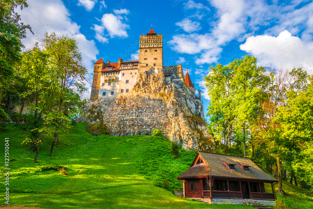 Medieval Dracula Castle - fortress in Bran, Brasov, Transylvania - obrazy, fototapety, plakaty 