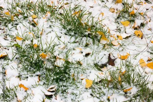 Autumn lawn under the first snow