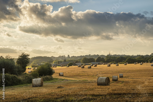 Beautiful countryside landscape image of hay bales in Summer fie