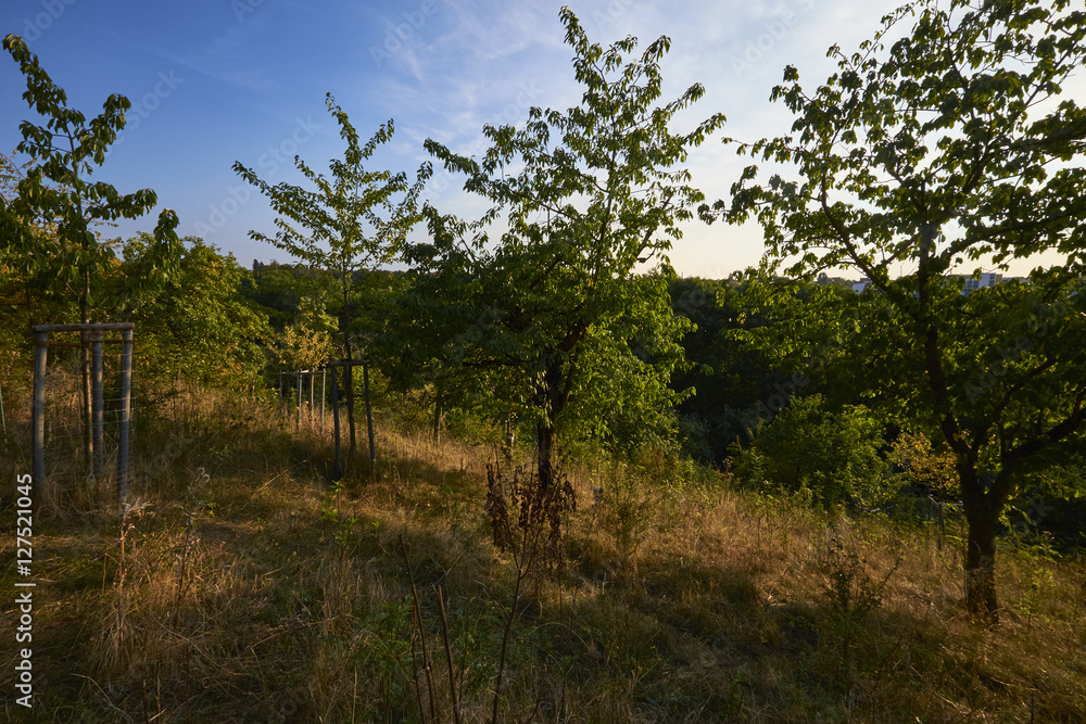 Streuobstwiesen am Kloster Posa bei Zeitz, Sachsen-Anahlt, Deutschland Streuobstwiesen am Kloster Posa bei Zeitz, Sachsen-Anahlt, Deutschland