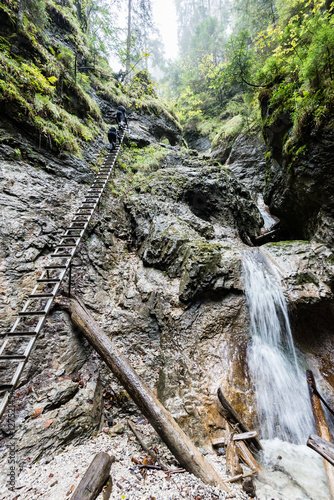 tourist trail in woods photo