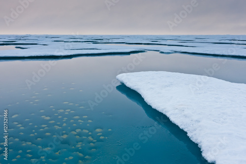 Climate change in the Arctic: a melt pond on sea ice with algae aggregates on the bottom