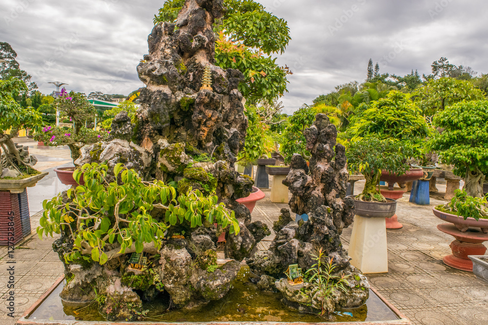 Bonsai trees on a stone in a park of flowers in Dalat, Vietnam