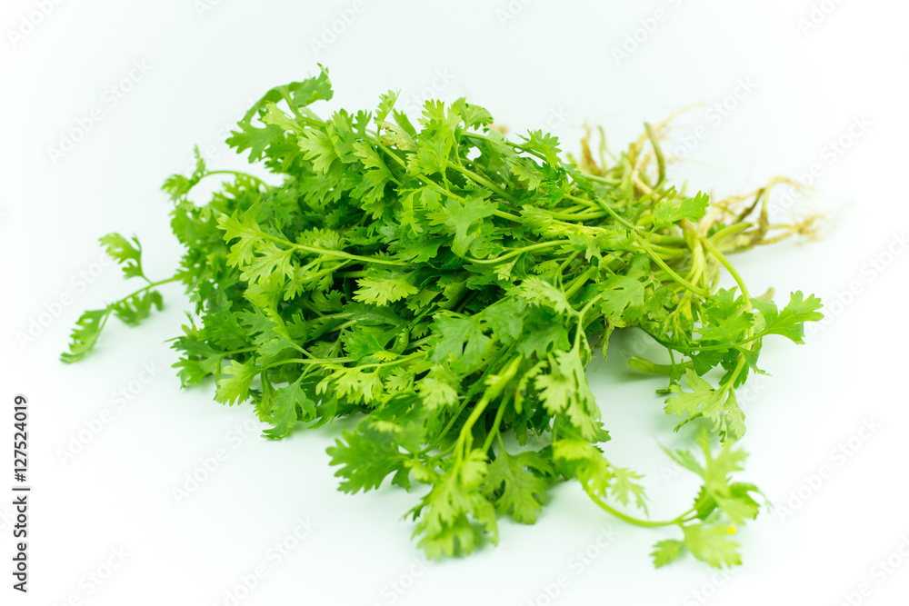 Green coriander isolation on a white background. Green coriander isolation on a white background.