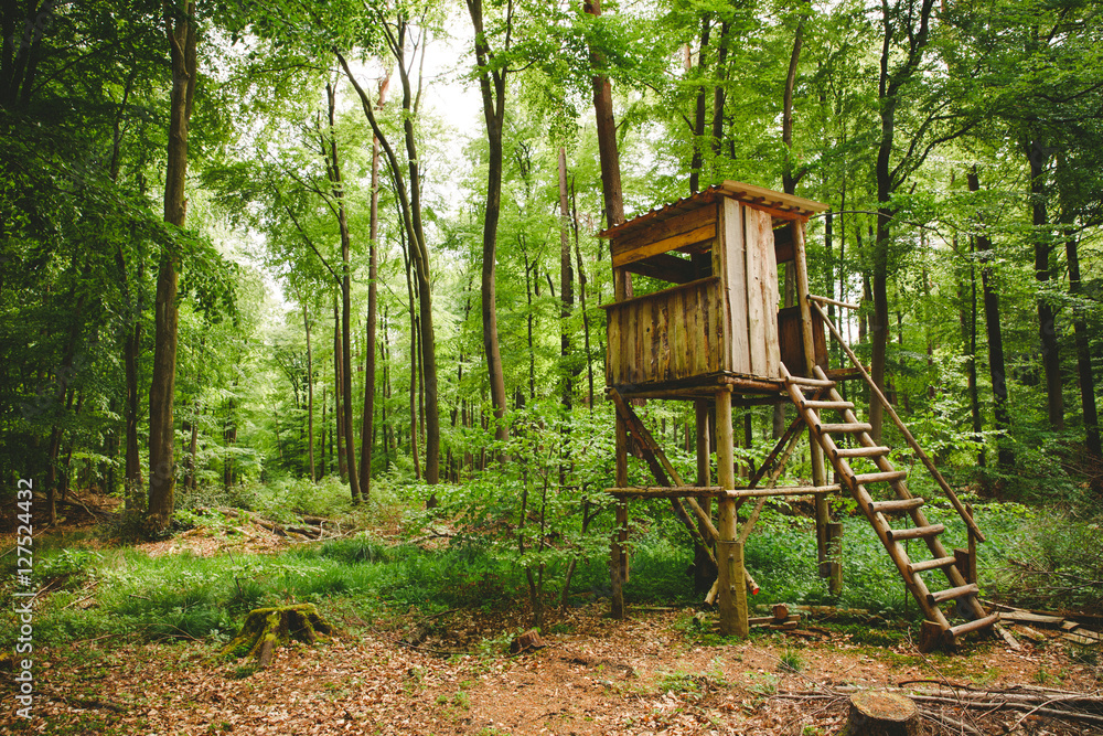 Hochsitz im Forst foto de Stock Adobe Stock