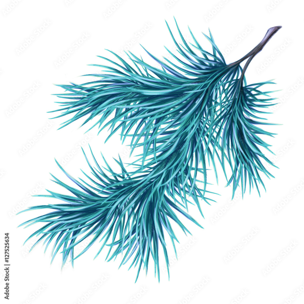 winter Christmas pine branch, watercolor illustration isolated on white background winter Christmas pine branch, watercolor illustration isolated on white background