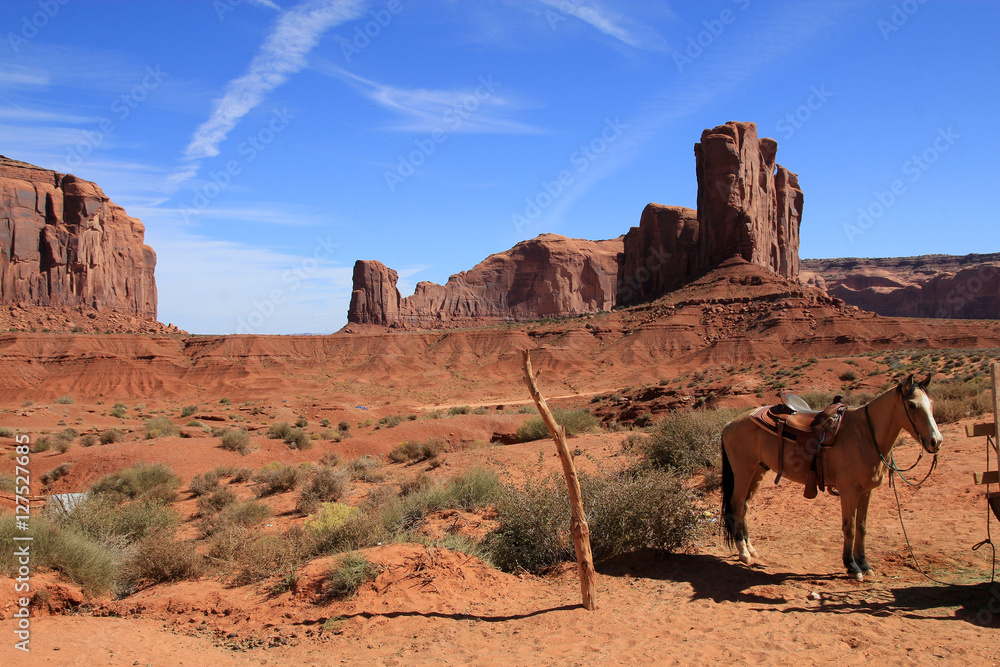 Horse in Monument valley in Navajo Tribal park in USA Horse in Monument valley in Navajo Tribal park in USA