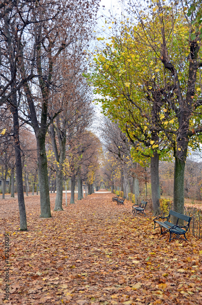 Beautiful way in autumn season Beautiful way in autumn season