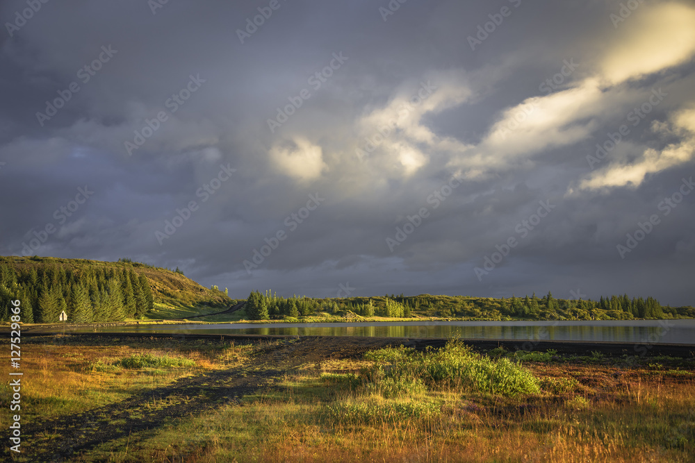 Obraz premium Icelandic colorful landscape on Iceland, summer time