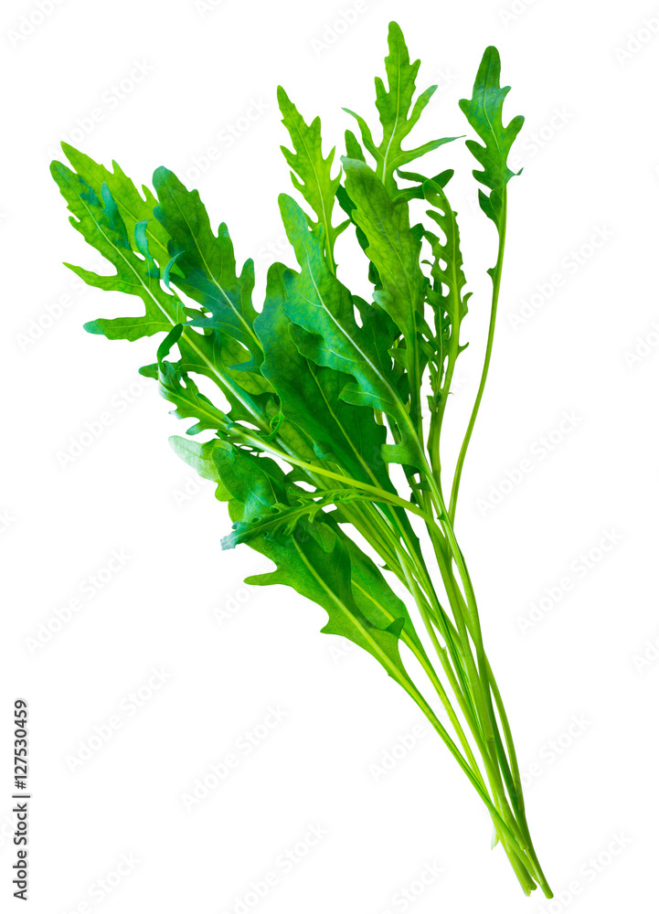 Obraz premium fresh green bunch salad arugula(ruccola or rukkola) leaves isolated on white background
