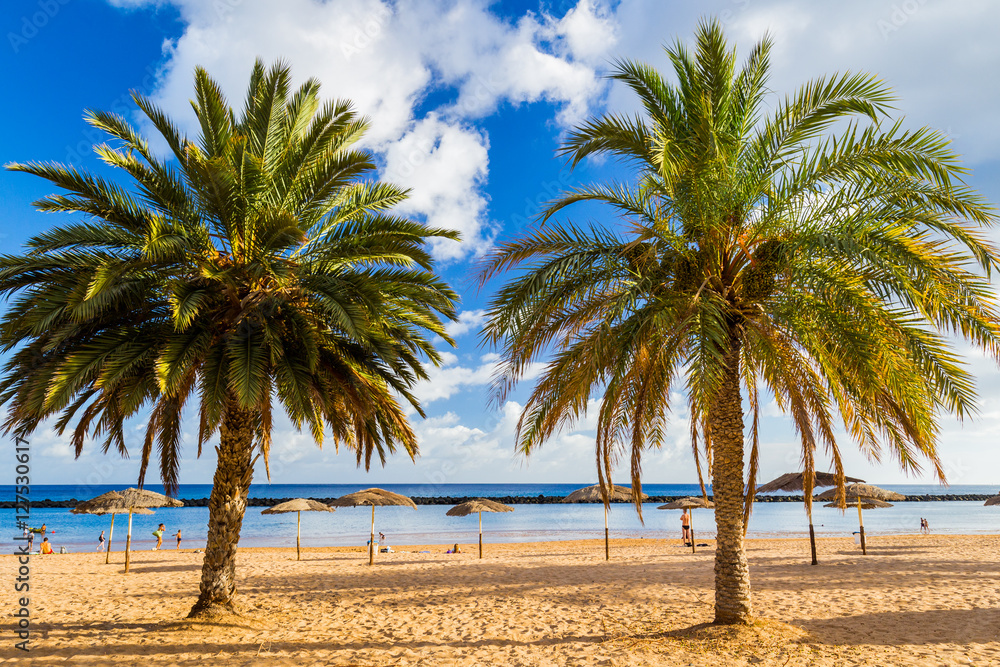 Yellow sand beach with lounge chairs and umbrellas in Tenerife Island, Spain