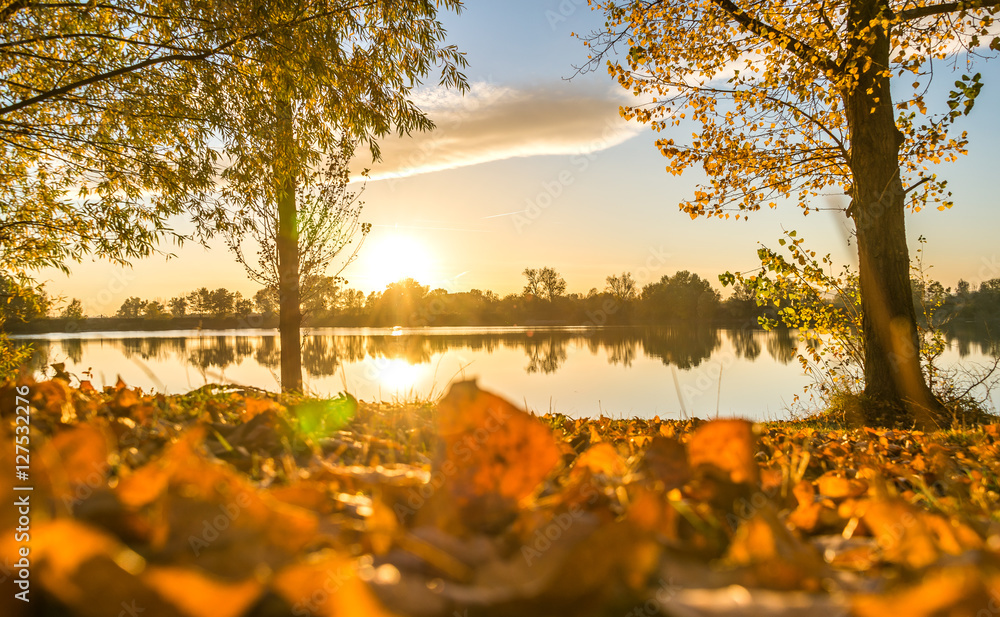 Romantic sunset in the autumn forest on the lake