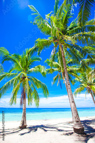 Beautiful tropical beach with palm trees  white sand  turquoise ocean water and blue sky