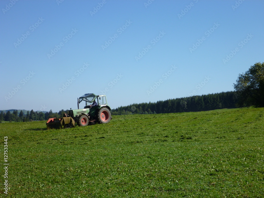 Traktor im Allgäu Traktor im Allgäu