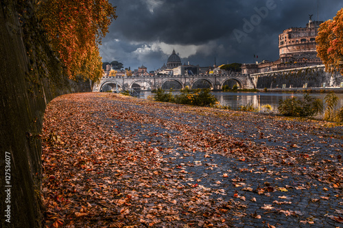 Photography foliage 10