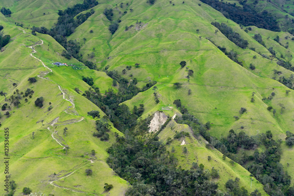 Steep Hills in Quindio - obrazy, fototapety, plakaty 