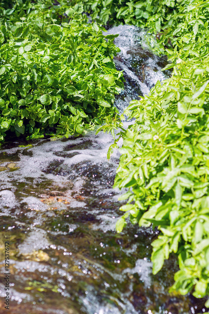 Small waterfall stream in the park Small waterfall stream in the park
